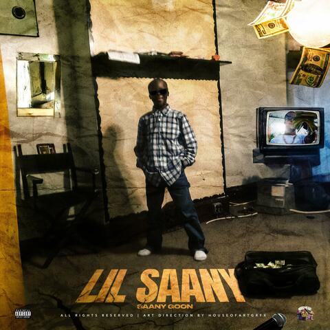 Lil Saany album art