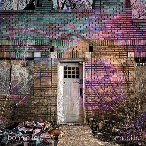 Armadillo album art