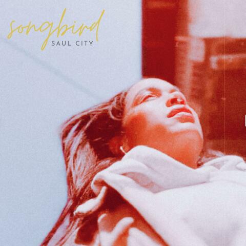 Songbird album art