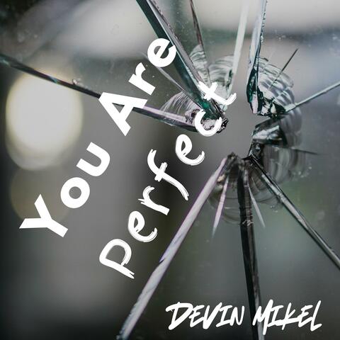 You Are Perfect album art