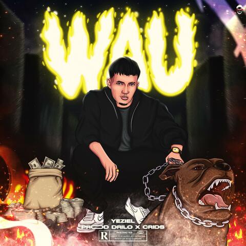 WAU album art