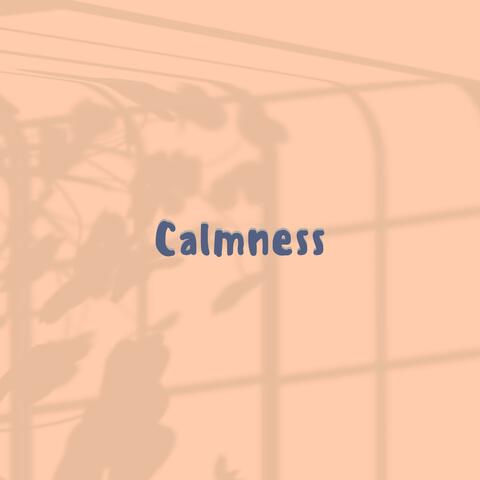 Calmness album art