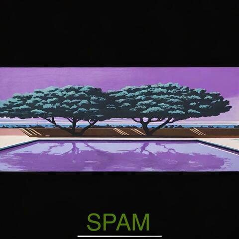 SPAM album art