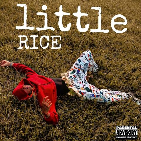 little album art