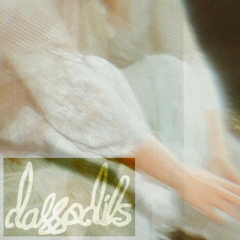 daffodils album art