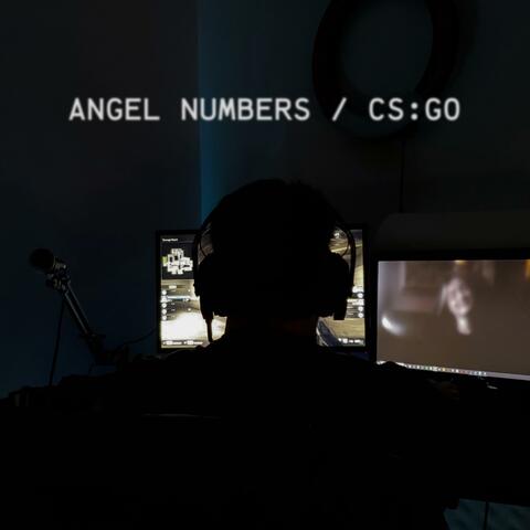 Angel Numbers / CS:GO album art
