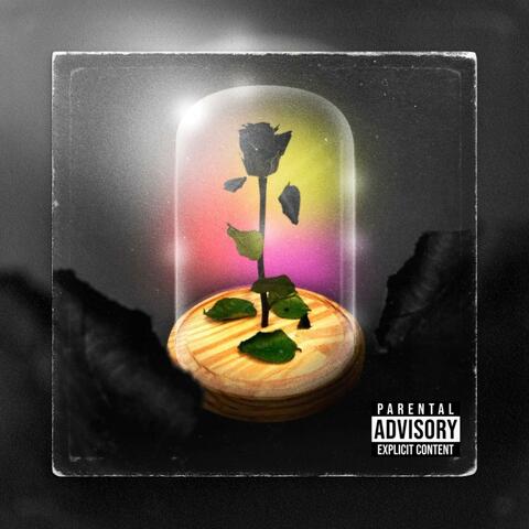 Mistaken (feat. Zayboi) album art