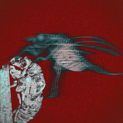 PIANIST album art