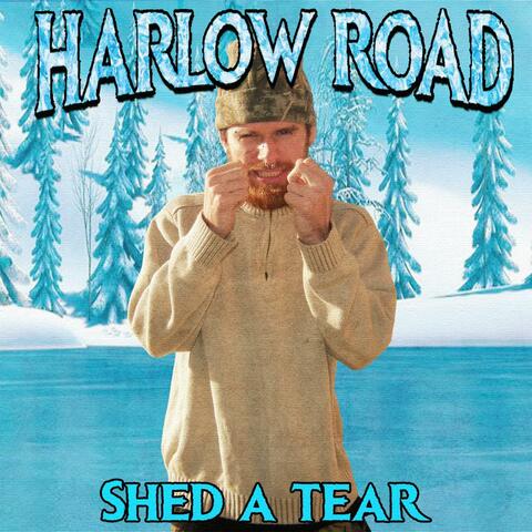 Shed A Tear album art