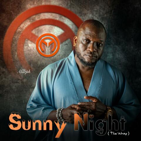 Sunny Night album art