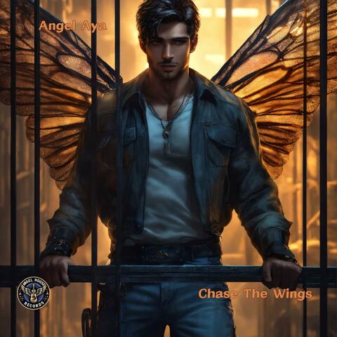Chase The Wings album art