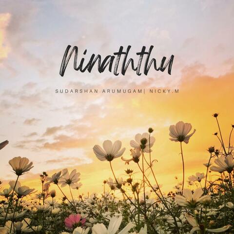Ninaithu (feat. Nicky.M) album art