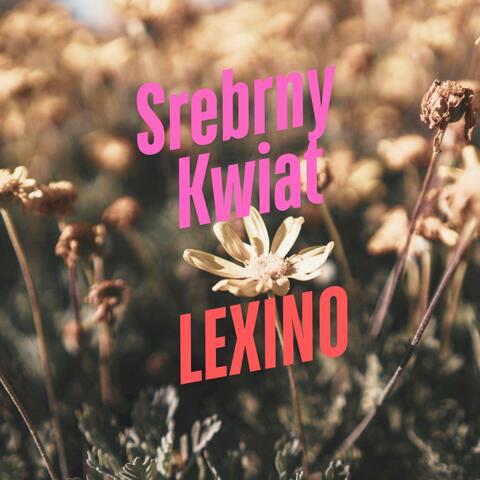 Srebrny Kwiat album art