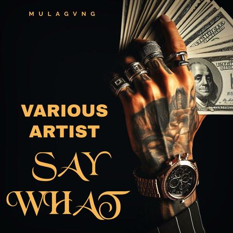 Say What album art