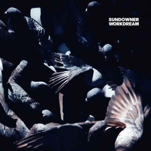 Work Dream album art