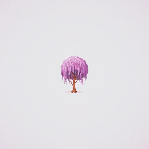 Willow album art