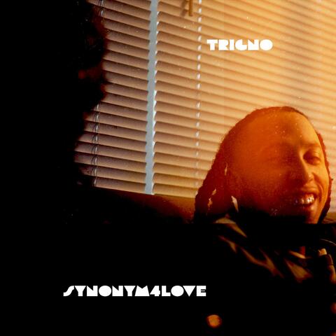 Synonym4Love album art