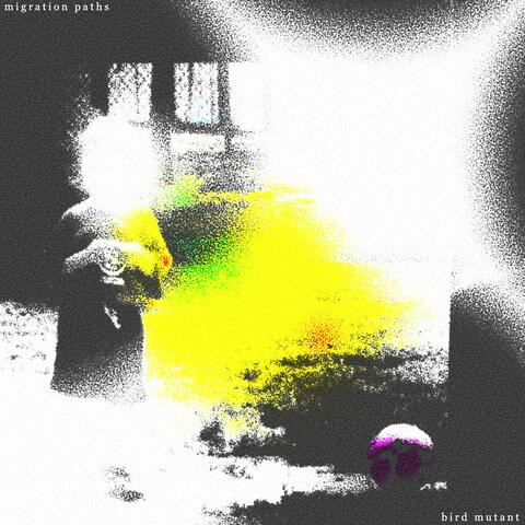 migration paths album art