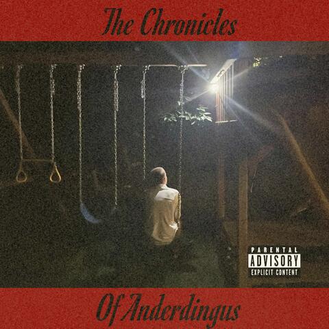 The Chronicles of Anderdingus album art
