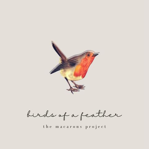 birds of a feather (acoustic) album art