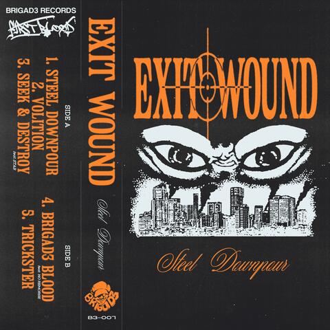 Steel Downpour album art