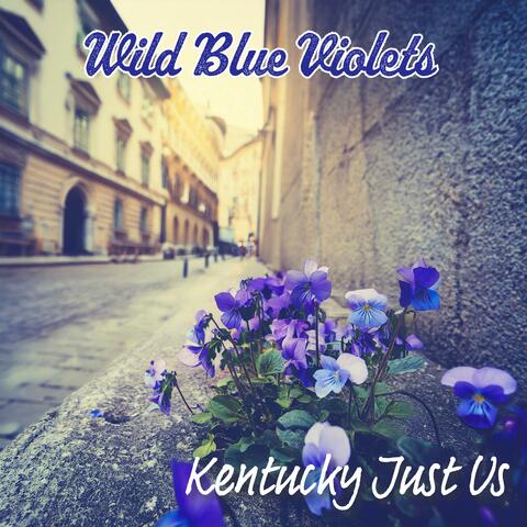 Wild Blue Violets album art