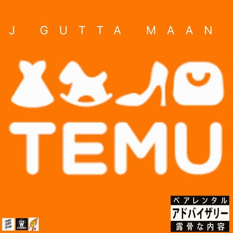 TEMU album art