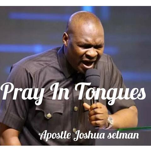 Pray In Tongues album art