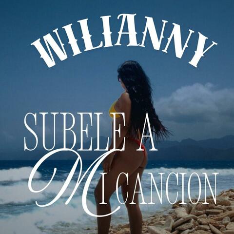 SUBELE A MI CANCION album art
