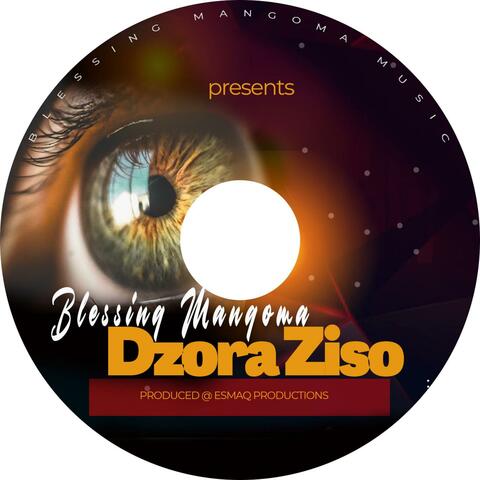 Dzora ziso album art