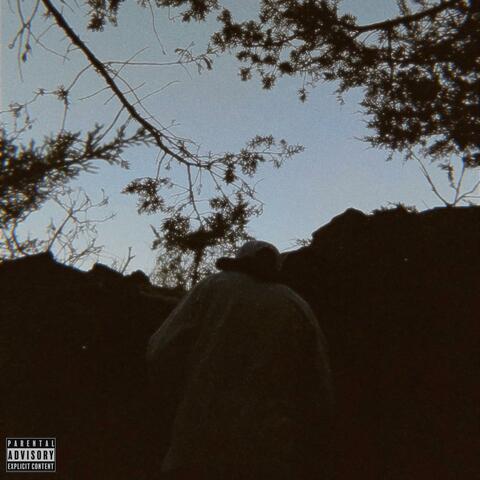 B.N.H album art