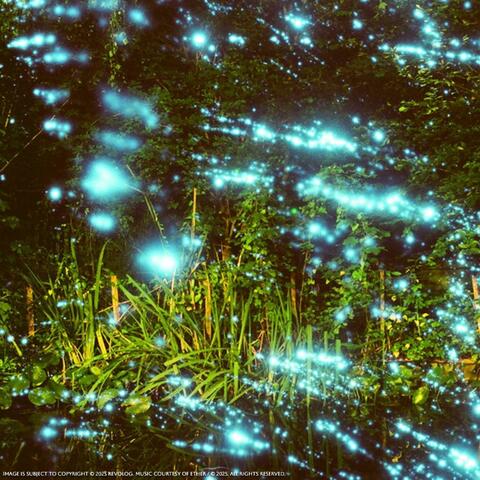 COSMOS album art