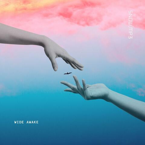 Wide Awake album art