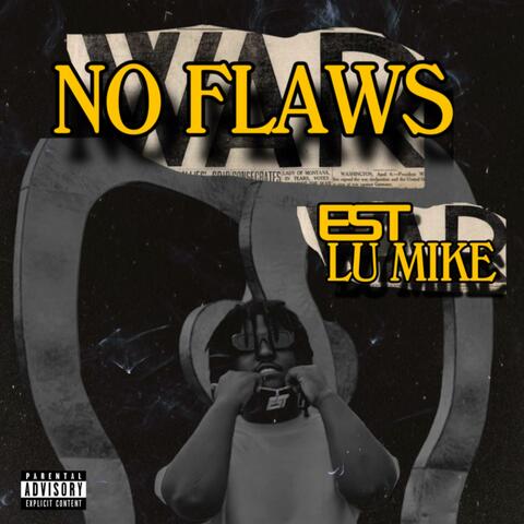 NO FLAWS album art
