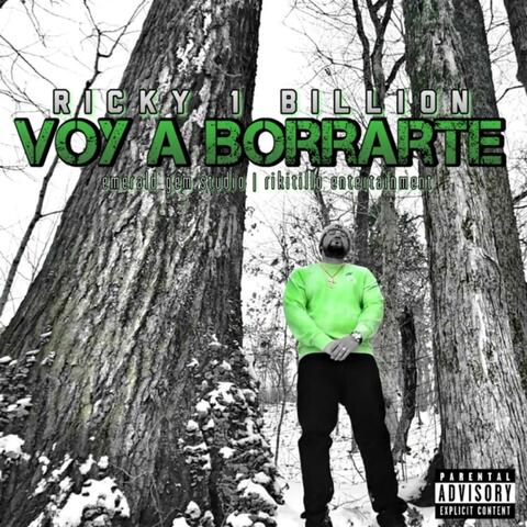 VOY A BORRARTE album art