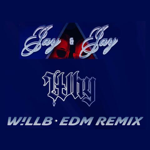 Why (feat. Jay & Jay) [EDM Version] album art