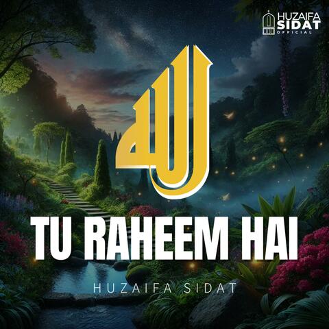Allah Allah (Tu Raheem Hai) album art