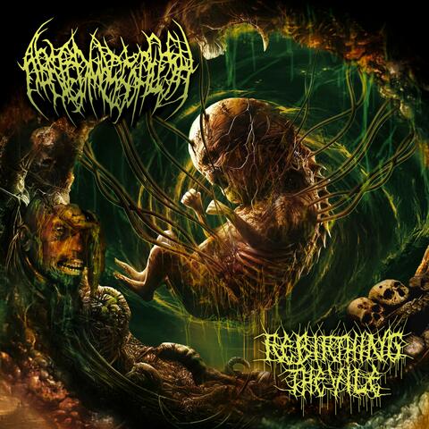 Rebirthing the Vile album art