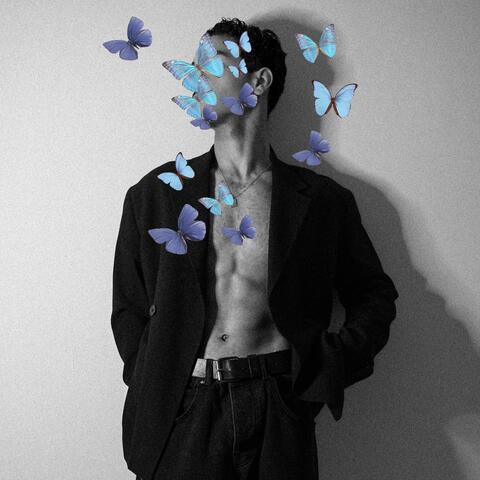 Kelebek album art