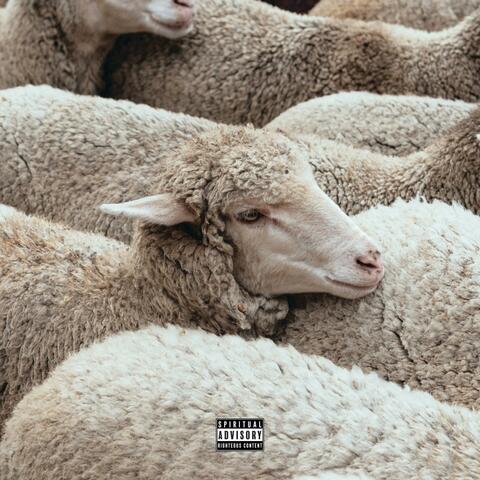 Royalty (feat. Chaarataza Thalmayad, Yashazarah & Yaiqob Nagan) album art