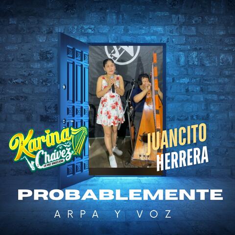 PROBABLEMENTE album art