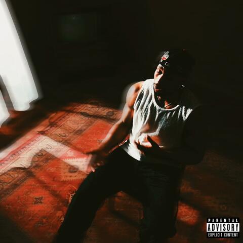 THE FEVER album art