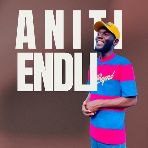 Aniti endli album art