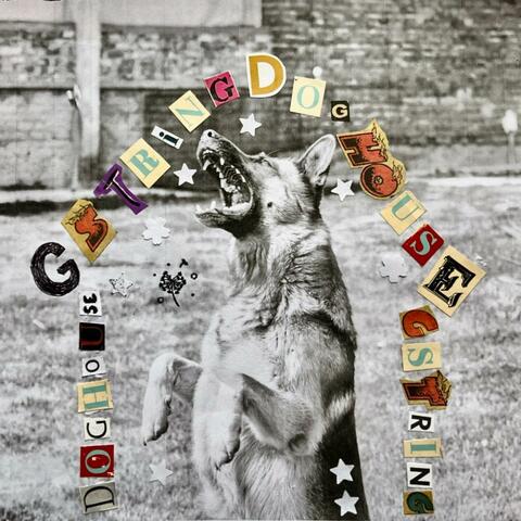 Doghouse album art