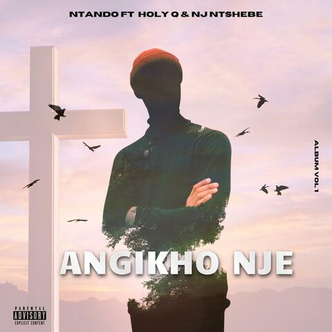 Angikho nje album art
