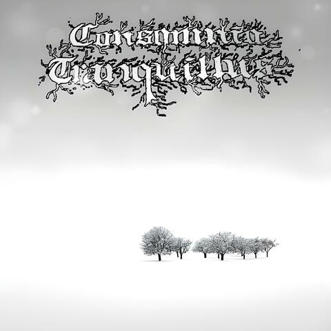 Winter Dreams album art