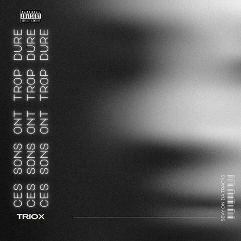 CES SONS ONT TROP DURÉ album art