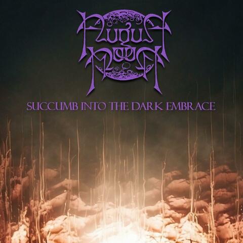 Succumb Into The Dark Embrace album art