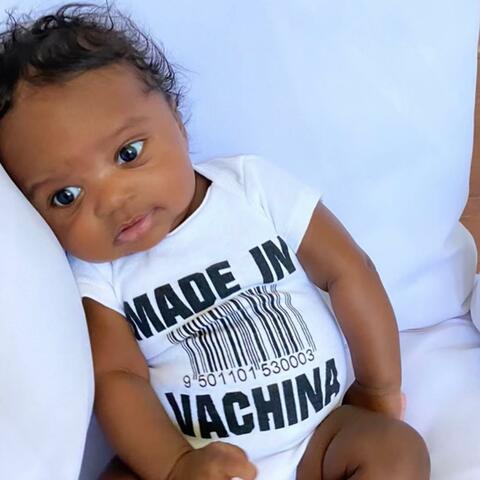 Vachina album art