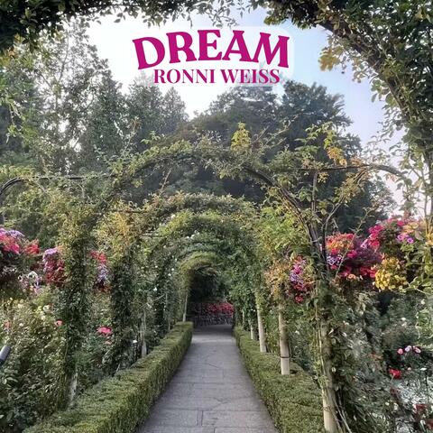 Dream 2 album art